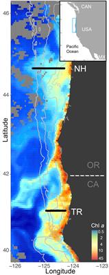 Drivers of plankton community structure in intermittent and continuous coastal upwelling systems–from microbes and microscale in-situ imaging to large scale patterns